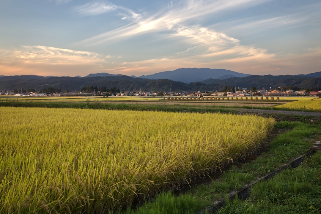 family home countryside japan evening