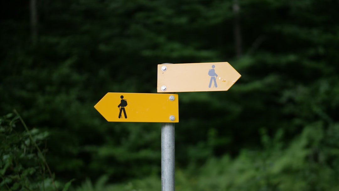 career path choice signpost
