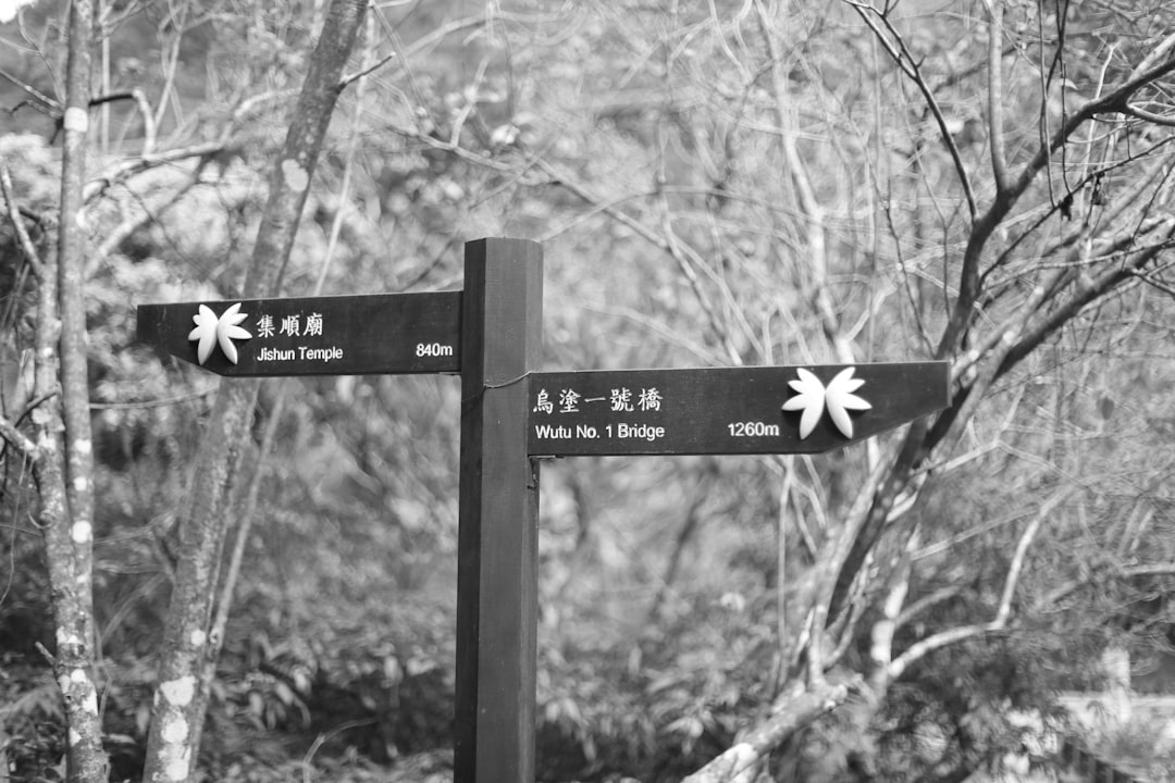 two paths fork road japanese signpost