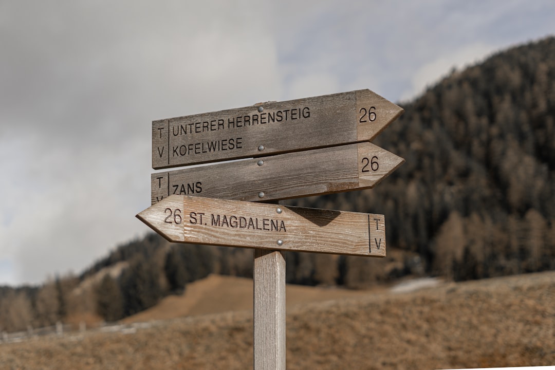 three wooden signpost arrows pointing different directions