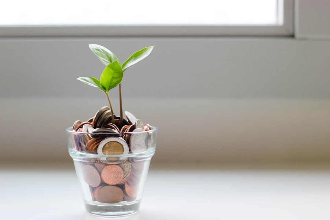 money savings growth calculator