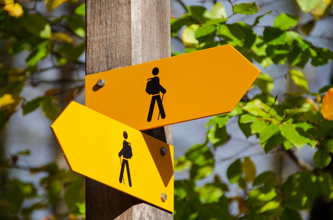 three path directions signpost concept