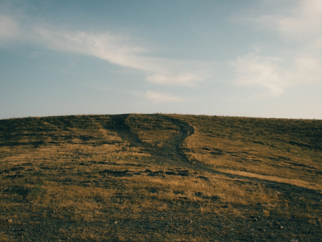person thinking decision crossroads path