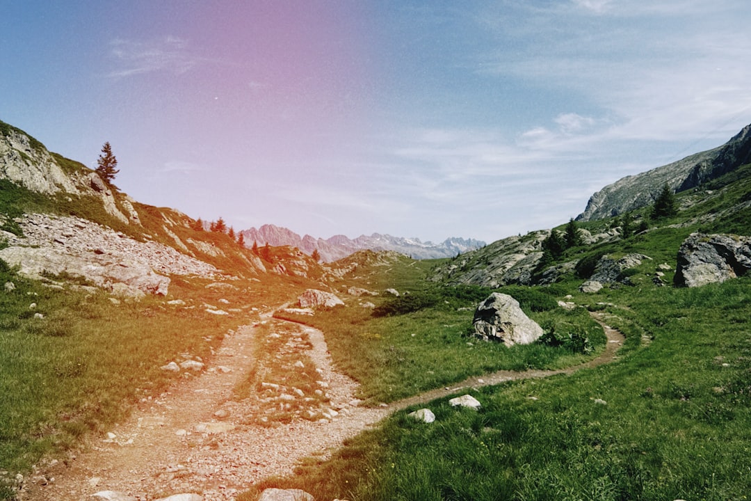two paths comparison decision business