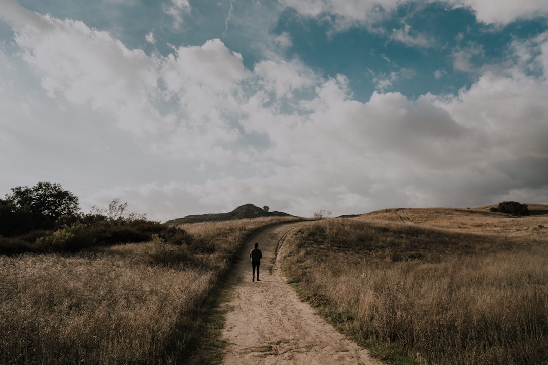 person choosing path decision