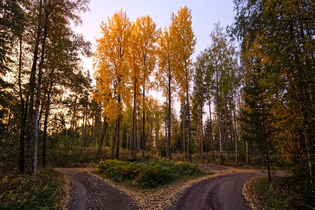 comparing two paths decision crossroads