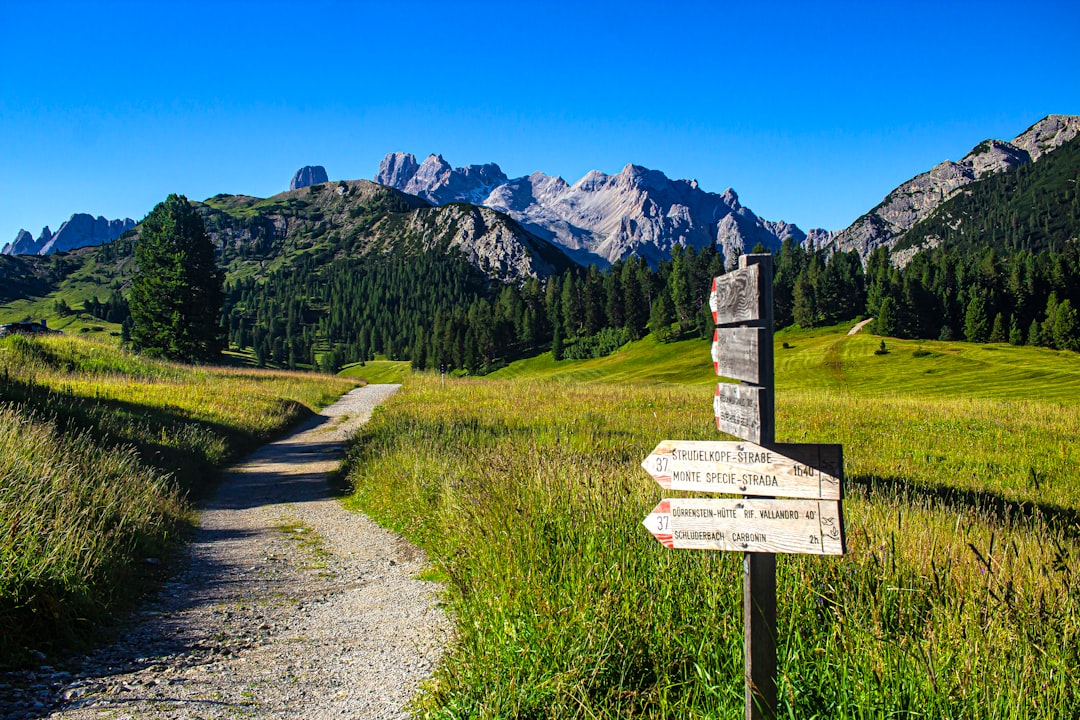 comparing two paths signpost decision