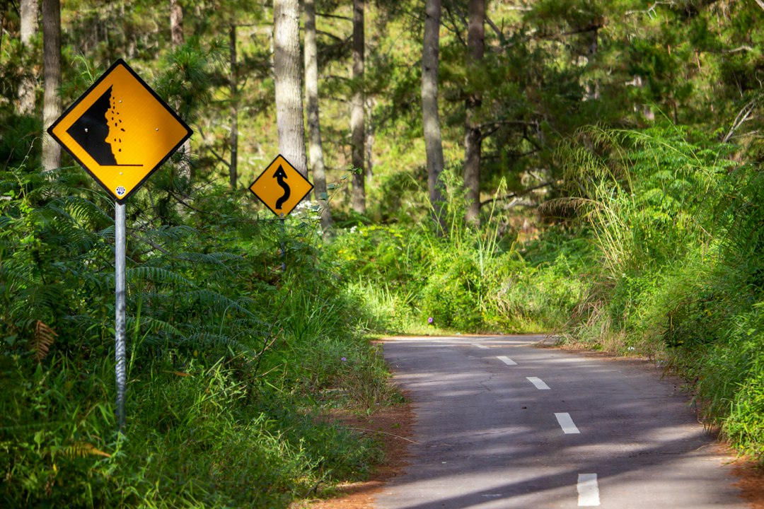 warning sign caution road
