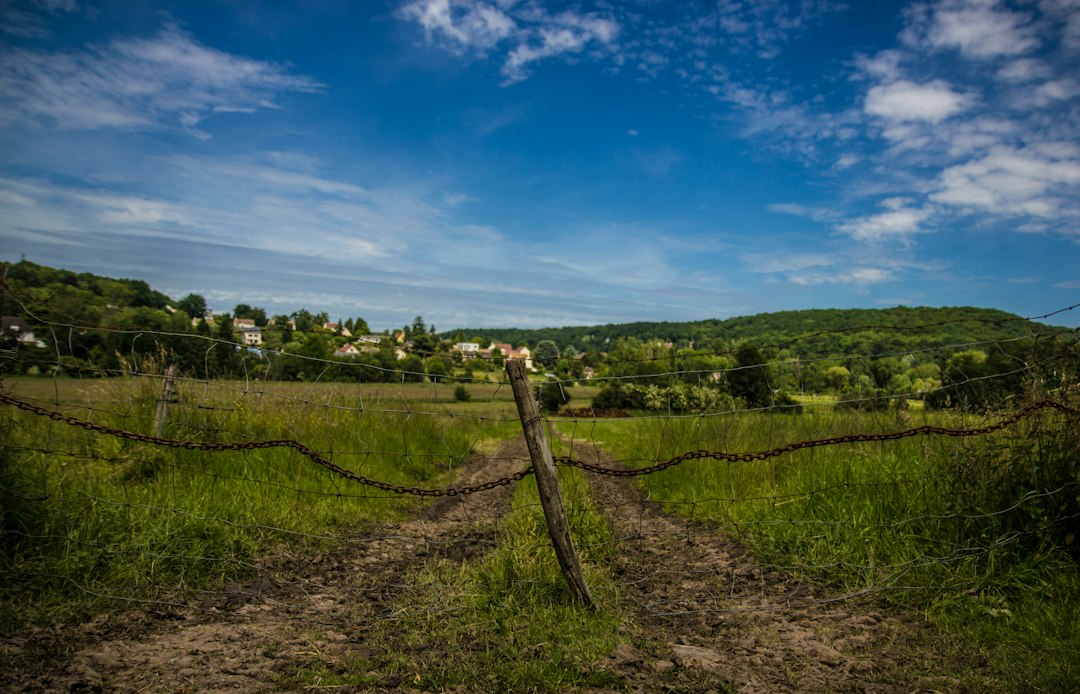 two paths comparison decision crossroads