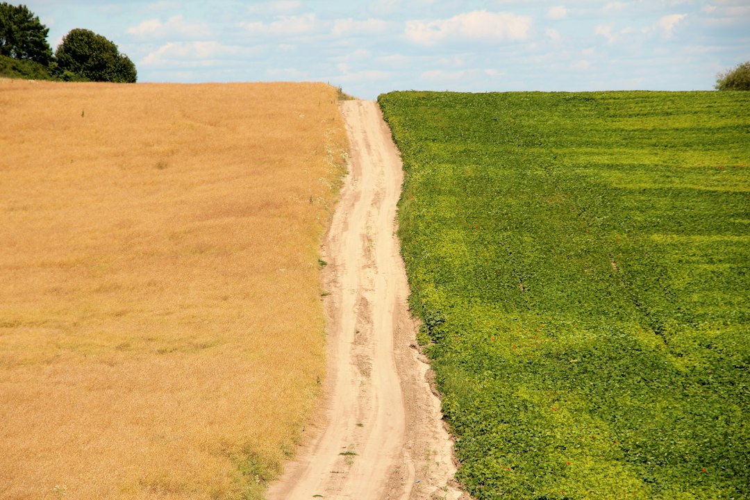 comparing two paths decision